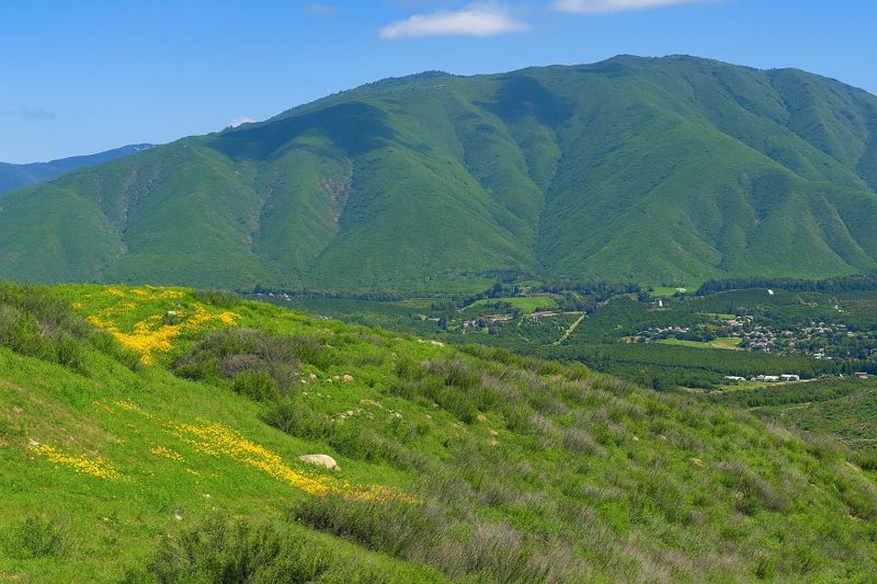 Best Bathroom Remodeling pros in Valley Center, CA